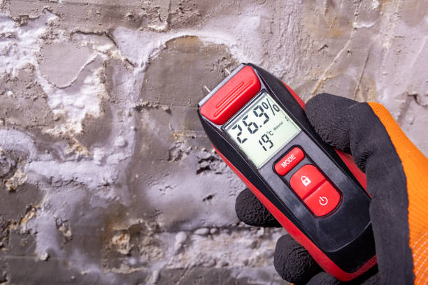 Best Health and Safety Mold Remediation in Crestline, OH